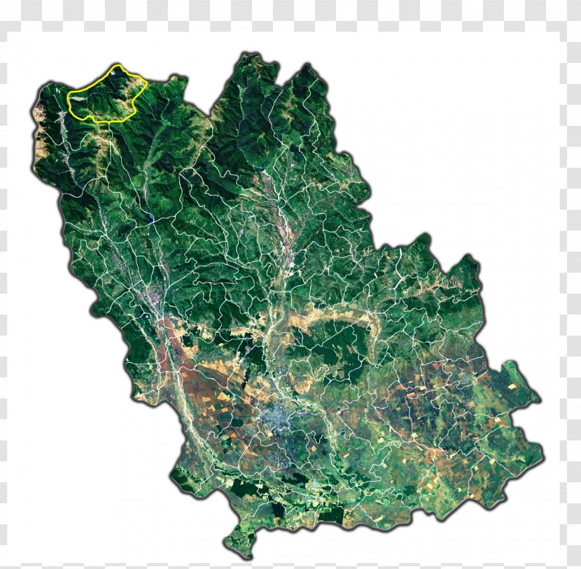 Băicoi Ploiești Rupea Brașov Comarnic - Mineral - City Transparent PNG