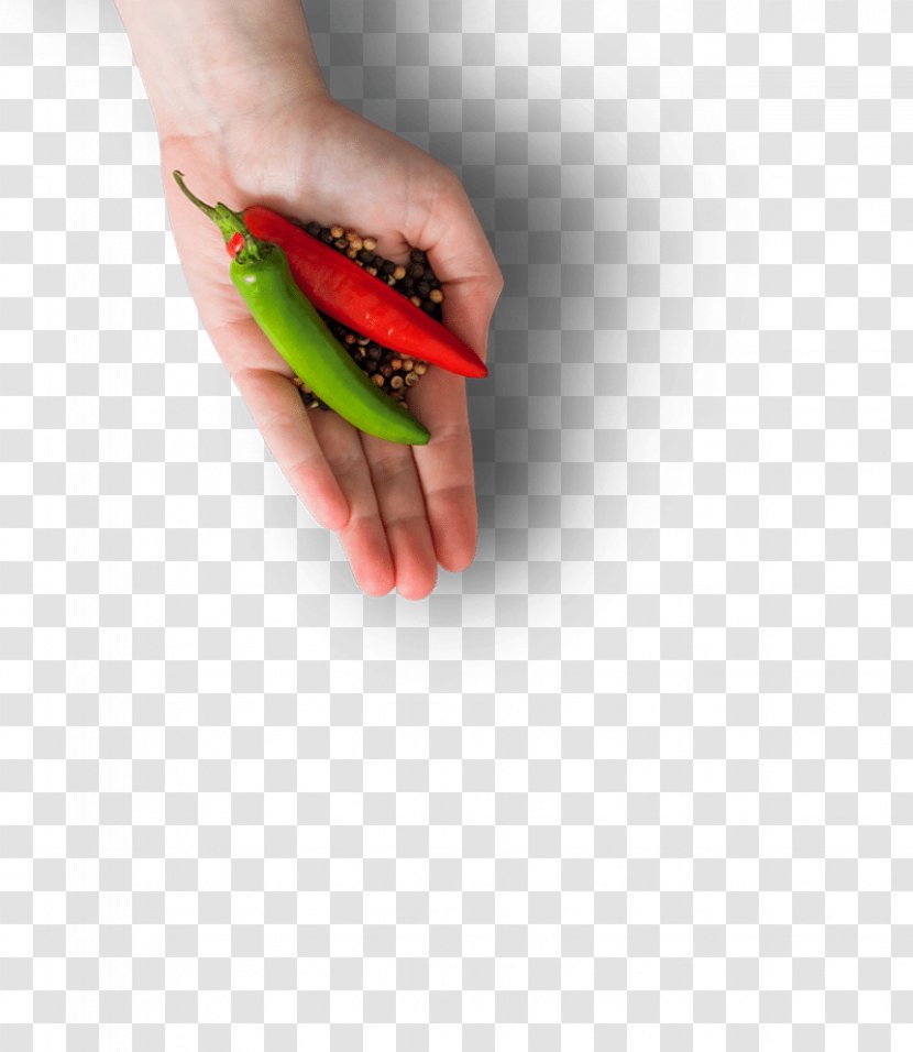 Chili Pepper Spicentice Nail Family - Vegetable - Spice Packaging Cases Transparent PNG
