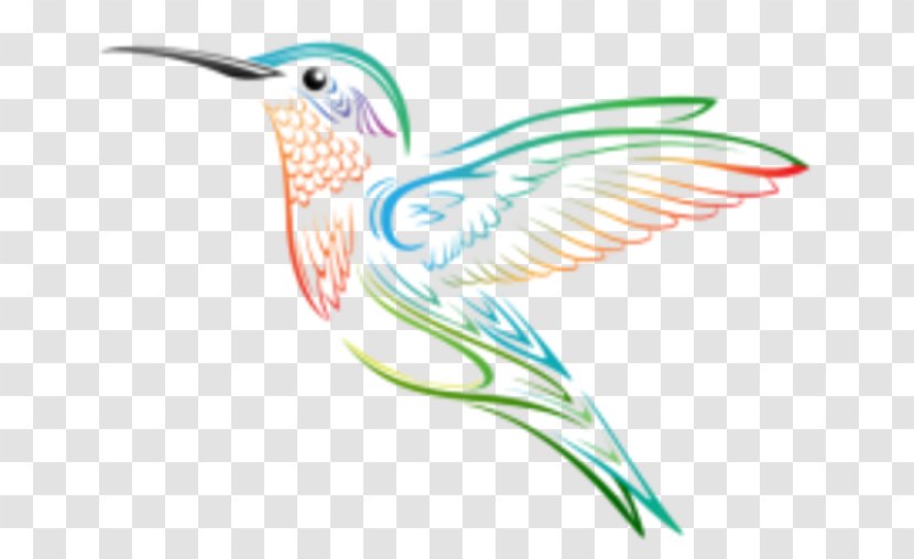 Hummingbird Clip Art - Fauna - Animation Transparent PNG