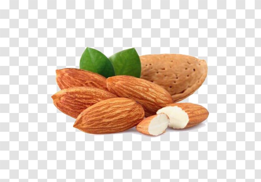 Almond Butter Nut Food Cashew - Wholesale Transparent PNG