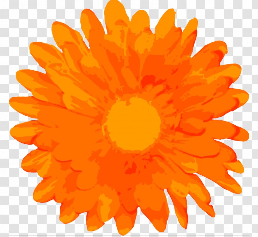 Marigold Flower - Plant - Pollen Sunflower Transparent PNG