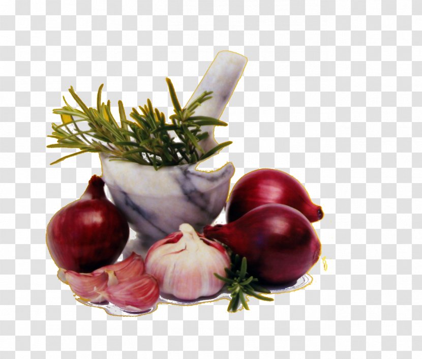 Cranberry Superfood Still Life Photography - Local Food - Restauration Transparent PNG