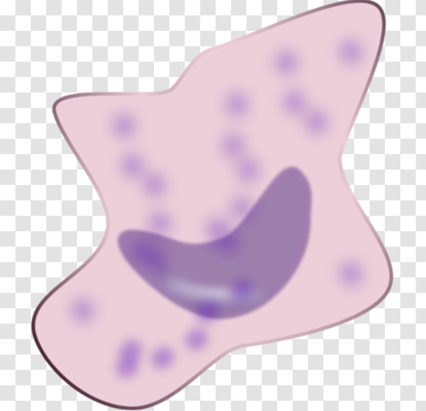 The Macrophage Clip Art - Violet - Immunity Transparent PNG