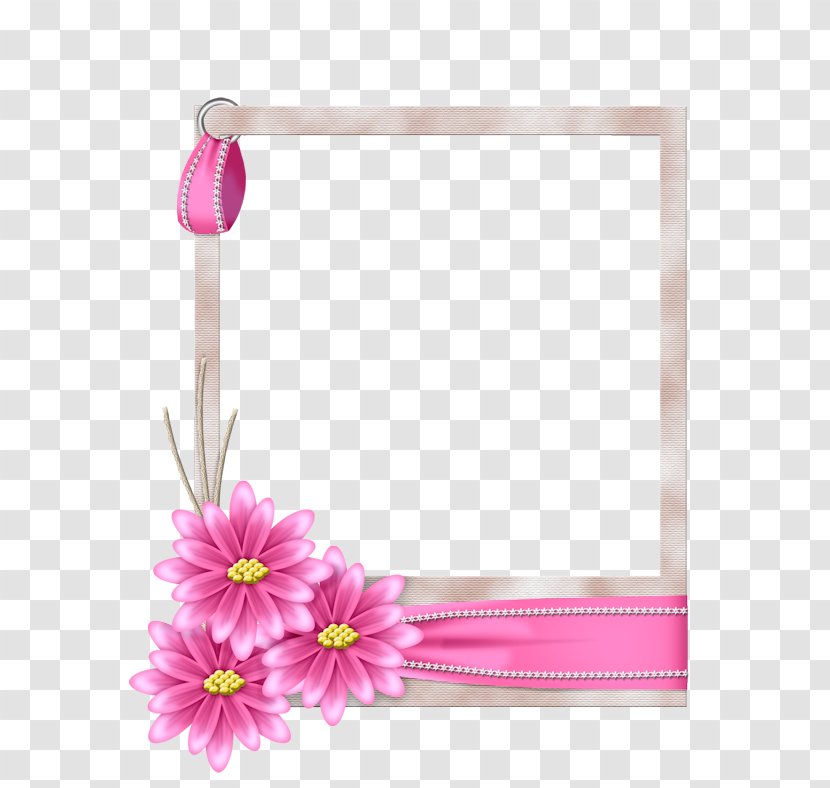 Picture Frames Floral Design Photography Flower - Digital Transparent PNG