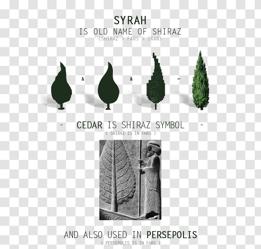 Florame Persepolis Relief Huile Essentielle Cypres Bio Product Design - Apadana - Brand Transparent PNG