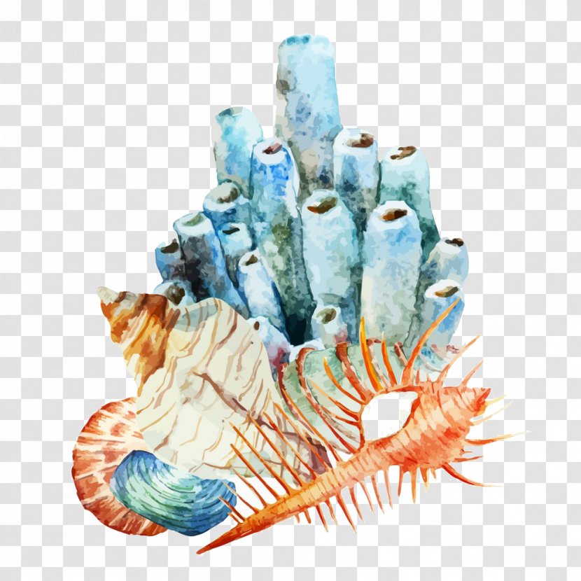 Coral Reef Watercolor Painting Illustration - Organism - Conch Picture Transparent PNG