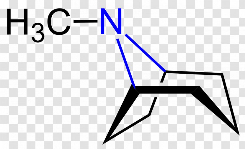 Cocaine Chemistry Erythroxylum Coca Chemical Substance Alkaloid - Compound - Formular Transparent PNG