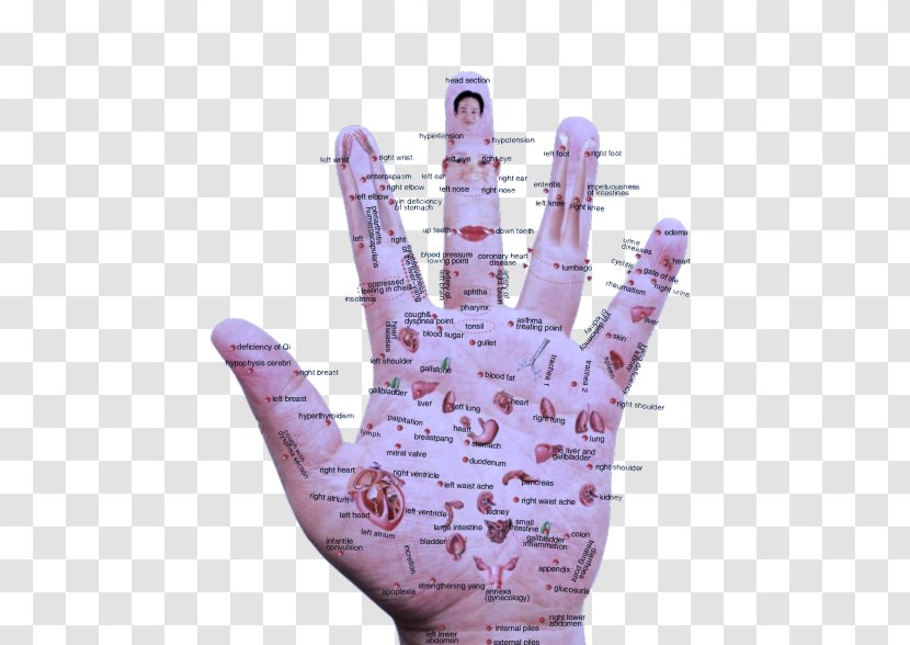 Acupressure Reflexology Akupunktiopiste Hand Acupuncture - Safety Glove Transparent PNG