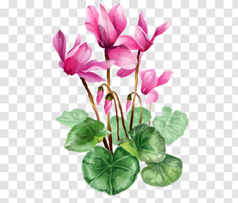 Flower Bouquet Free Content Clip Art - Herbaceous Plant - Iris Cliparts Transparent PNG