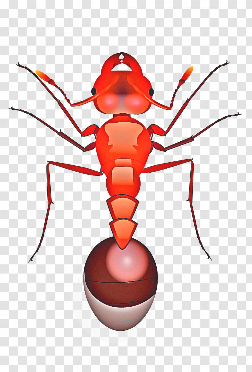 Fire Drawing - Bullet Ant - Termite Pest Transparent PNG