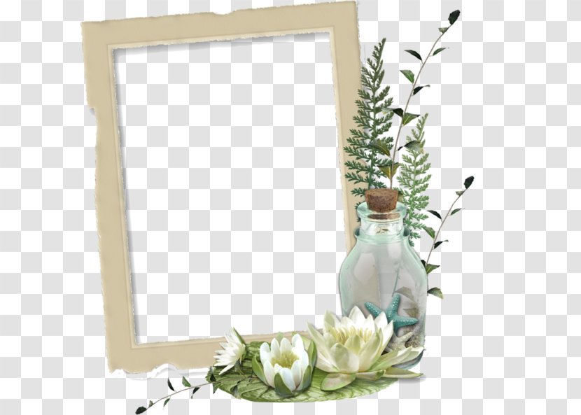 Bottle Floral Design Picture Frame - Email - Drift Bottles Decorative Borders Transparent PNG