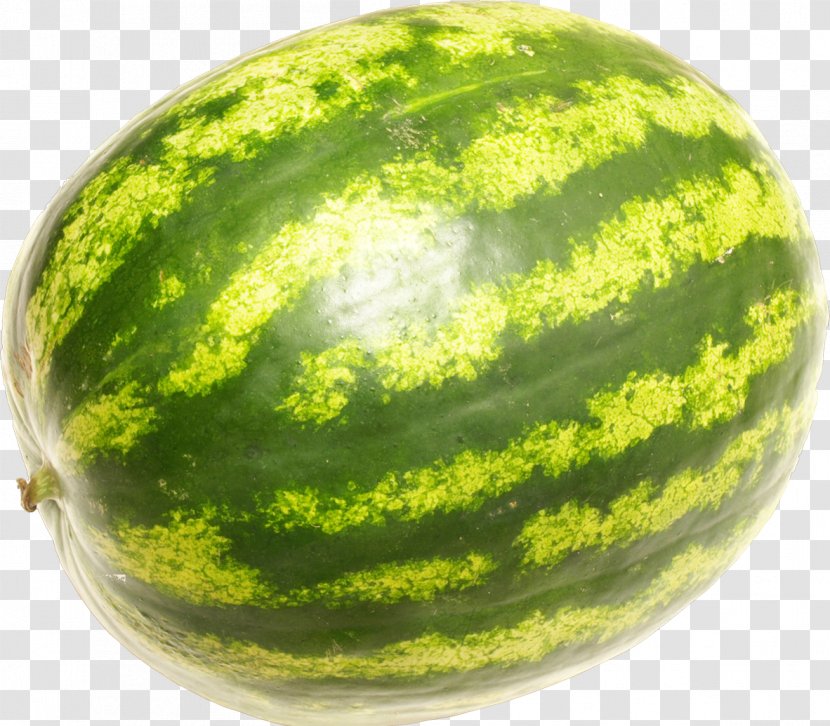 Fruit Watermelon Apple Vegetable Orange - Muskmelon - Water Melon Transparent PNG