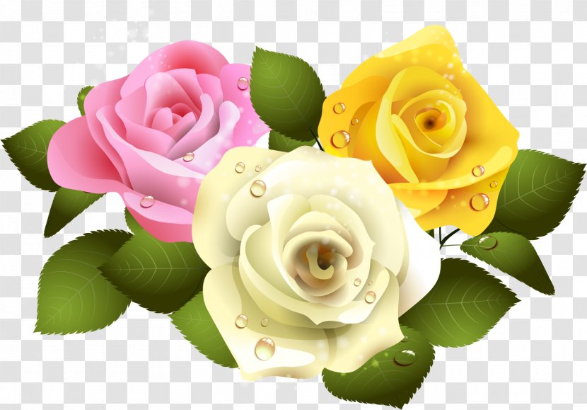 Valentine's Day Flower Clip Art - Rose Order - Angelica Transparent PNG