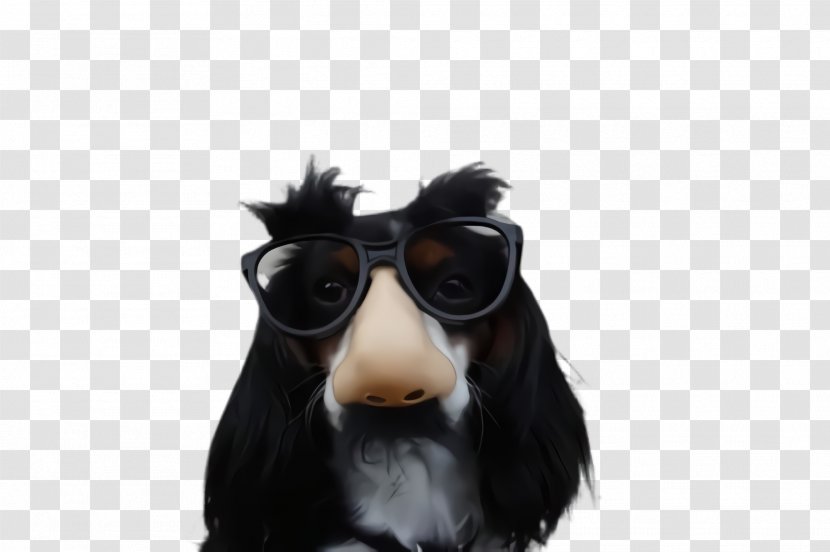 Glasses - Sporting Group - Companion Dog Transparent PNG