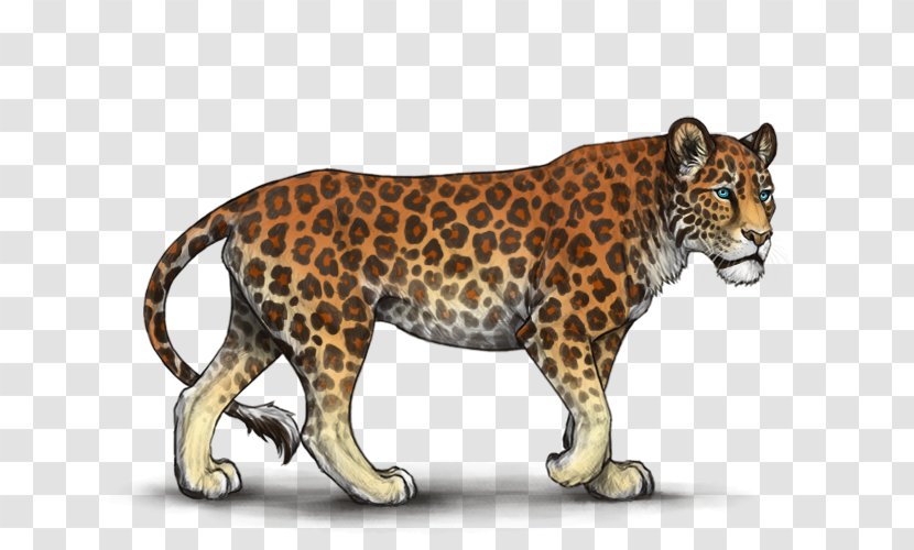 Leopard Tiger Cheetah Jaguar Felidae - Cougar Transparent PNG