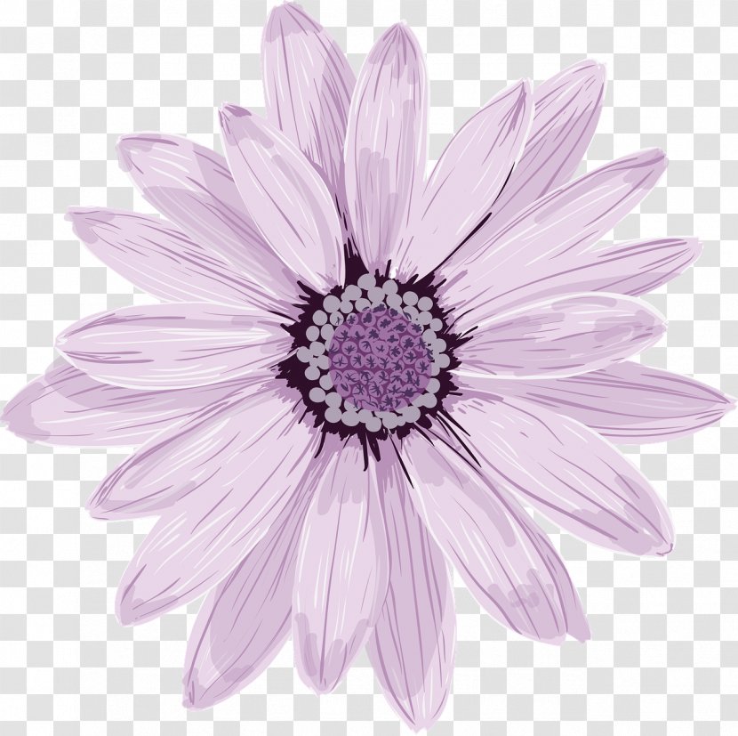 Flower Stock Photography - Purple Transparent PNG