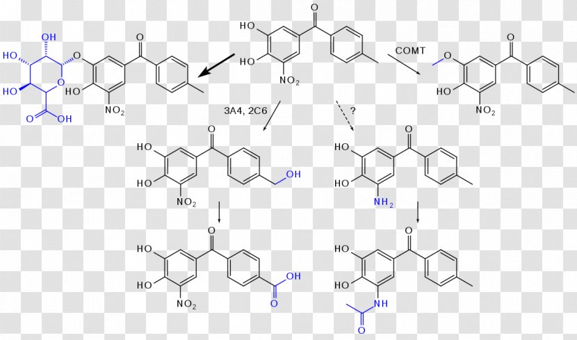 Small Molecule Functional Group Organic Chemistry Chirality - Compound - Parallel Transparent PNG