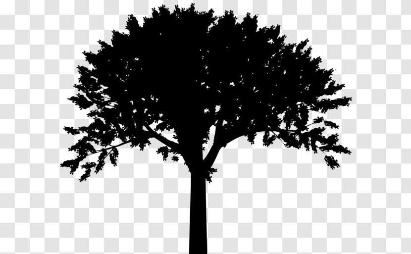 Silhouette Tree Clip Art - Drawing Transparent PNG
