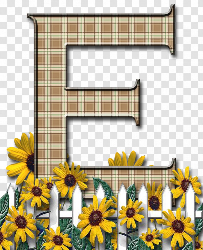 Letter Case English Alphabet Flower - Picture Frame - Eth Transparent PNG