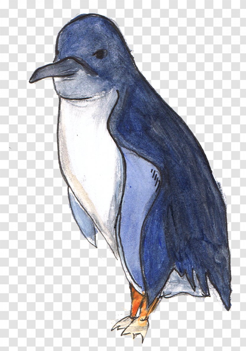 Little Penguin Animal Alphabet Adventures Transparent PNG