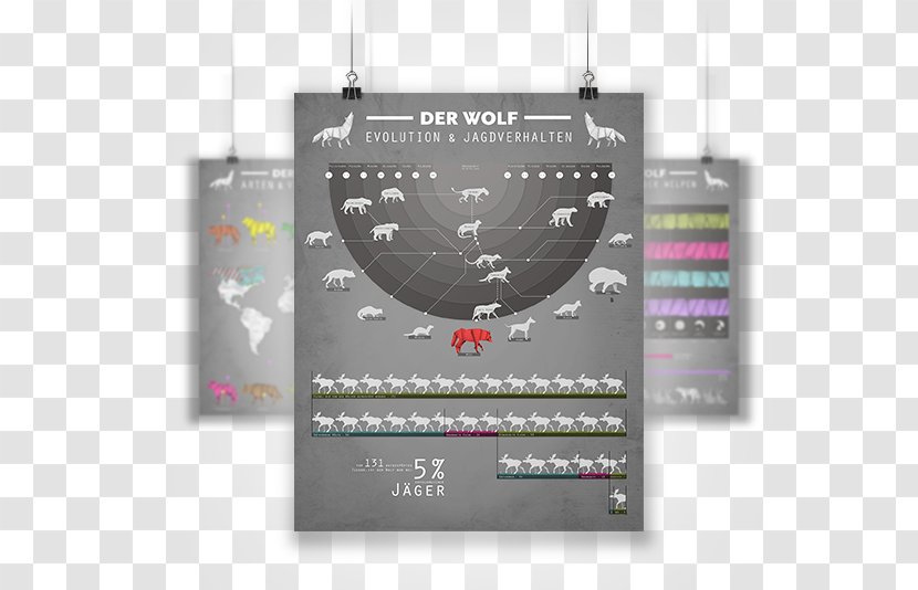 Gray Wolf Infographic Text Process - Theory - Infografik Transparent PNG