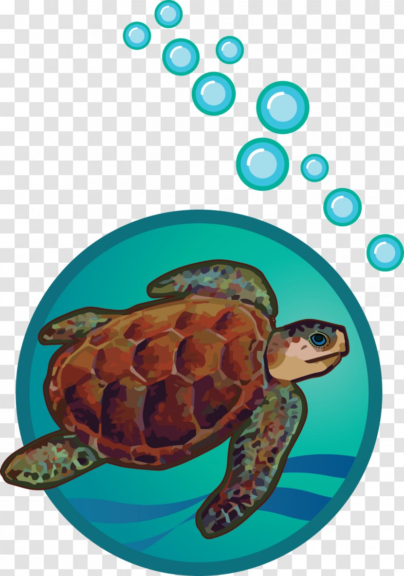 Loggerhead Sea Turtle Tortoise Pond Turtles - Cf Transparent PNG