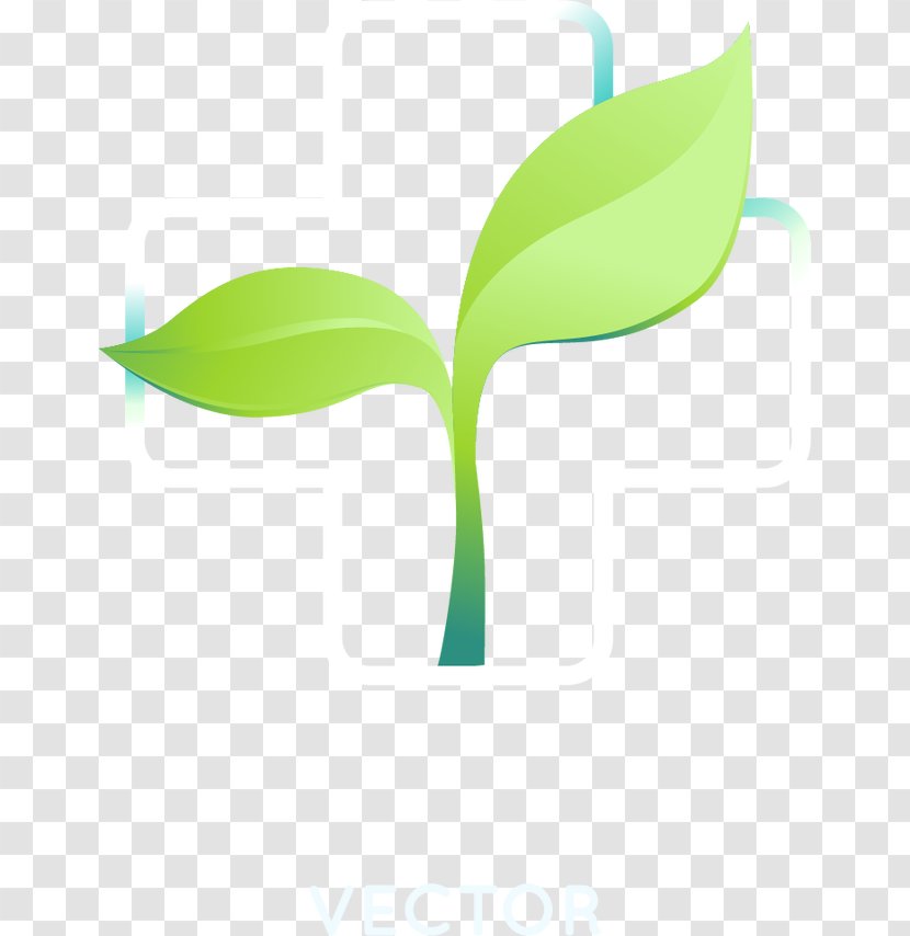 Logo - Green - Vector Design Transparent PNG