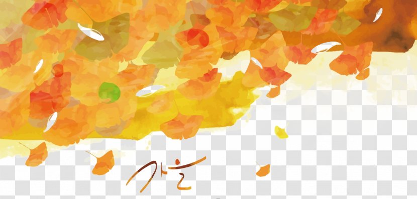 Autumn Illustration - Photography - Vector Leaves Transparent PNG