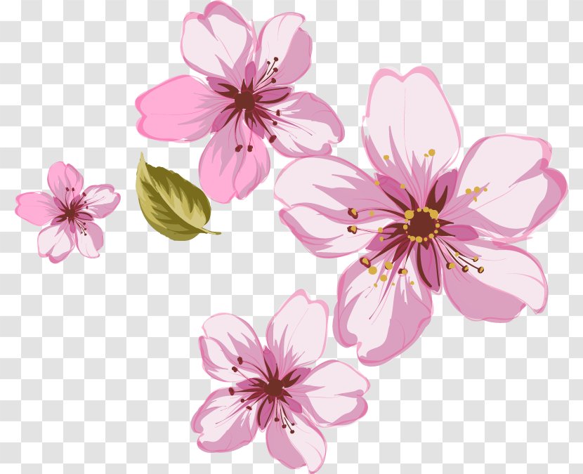 Download Pink 3D Computer Graphics Clip Art - Cut Flowers Transparent PNG