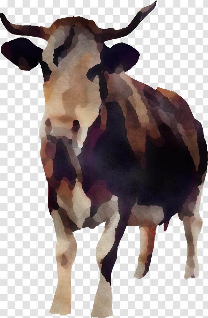 Bovine Dairy Cow Horn Cow-goat Family Bull Transparent PNG