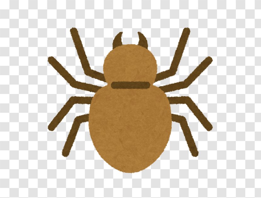 Spider Insecticide Pest Termite Transparent PNG