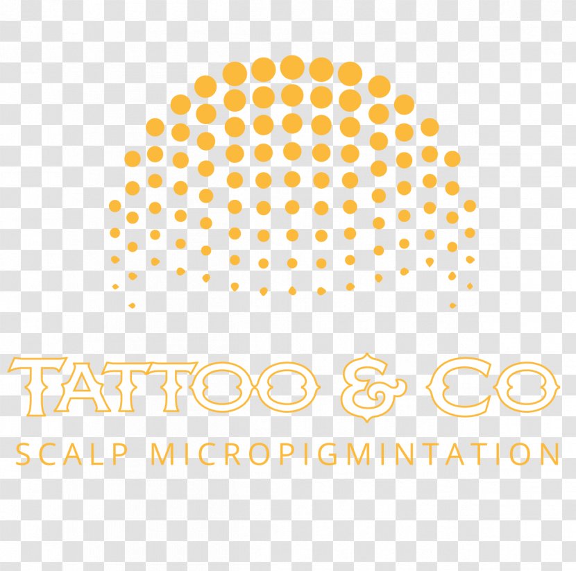 Hair Tattoo Loss Scalp Aesthetics Permanent Makeup - Skin - Receding Hairline Professional Appearance Transparent PNG