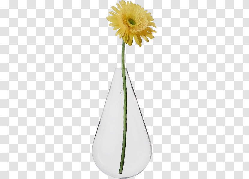 Plant Stem Vase Transvaal Daisy Cut Flowers Flower Transparent PNG