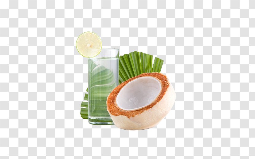 Thailand Coconut Milk Nata De Coco Thai Cuisine - Lemon Green Transparent PNG