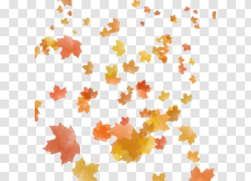 Clip Art Autumn Leaf Color Transparent PNG