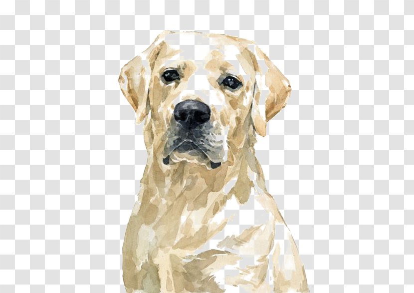 Labrador Retriever Golden Pit Bull Watercolor Painting - Dog Transparent PNG