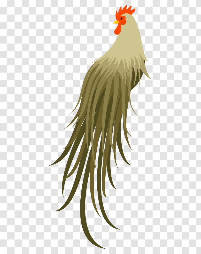 Rooster Chicken Bird Beak - As Food - Material Transparent PNG