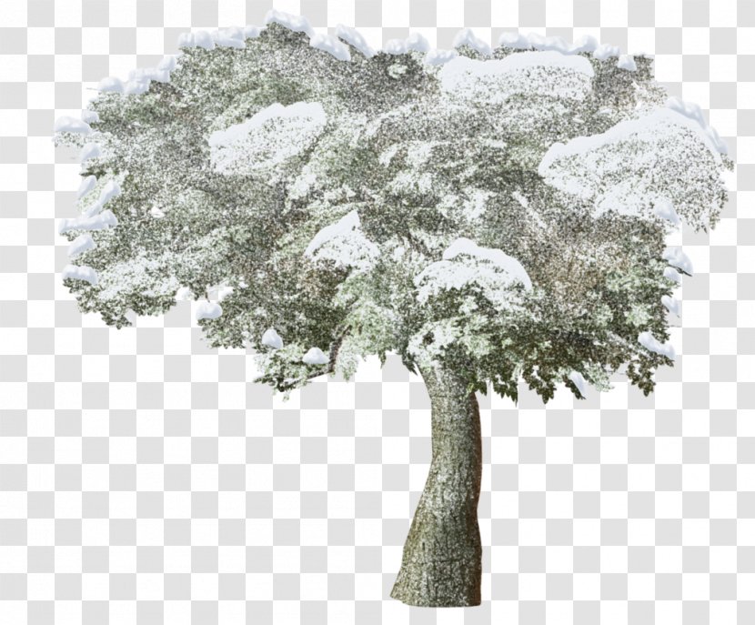 Clip Art Winter Snow Adobe Photoshop - Trees Transparent PNG