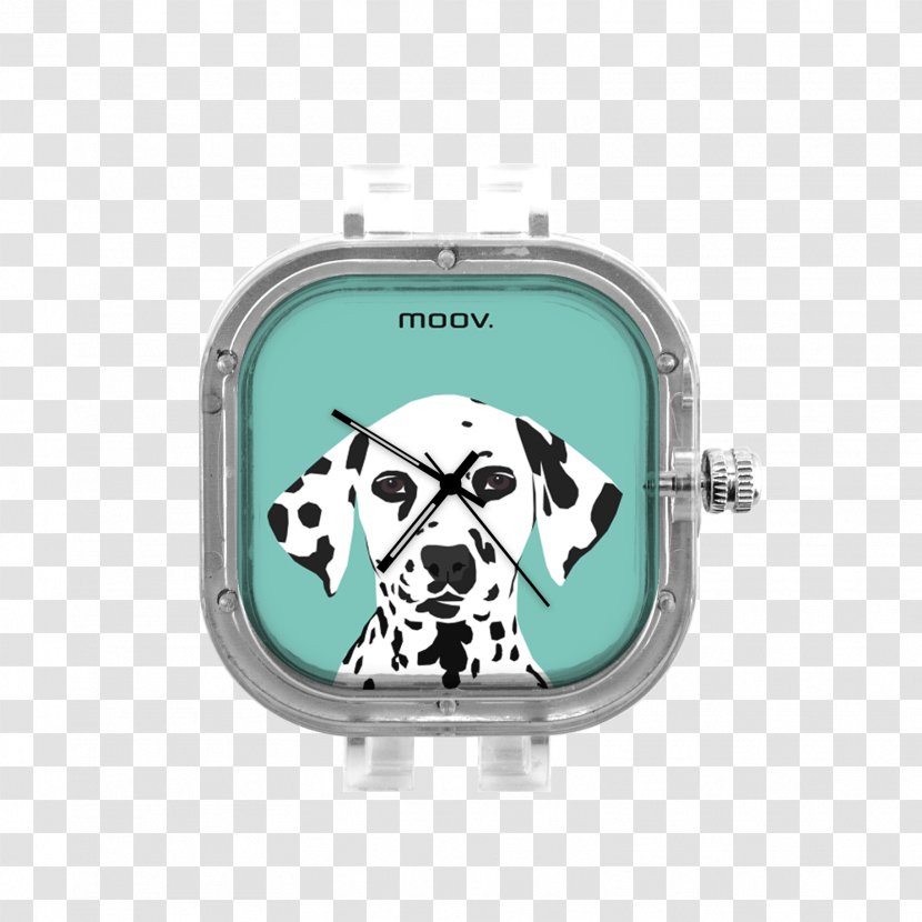 Dalmatian Dog Australian Cattle Bull Terrier Watch Boxer - Canvas Transparent PNG