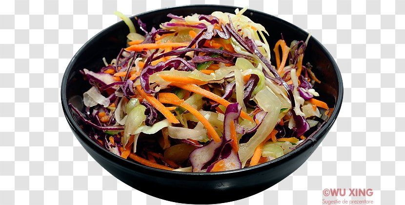 Coleslaw American Chinese Cuisine Chicken Salad Vegetarian - Vegetable - Compendium Of Materia Medica Transparent PNG