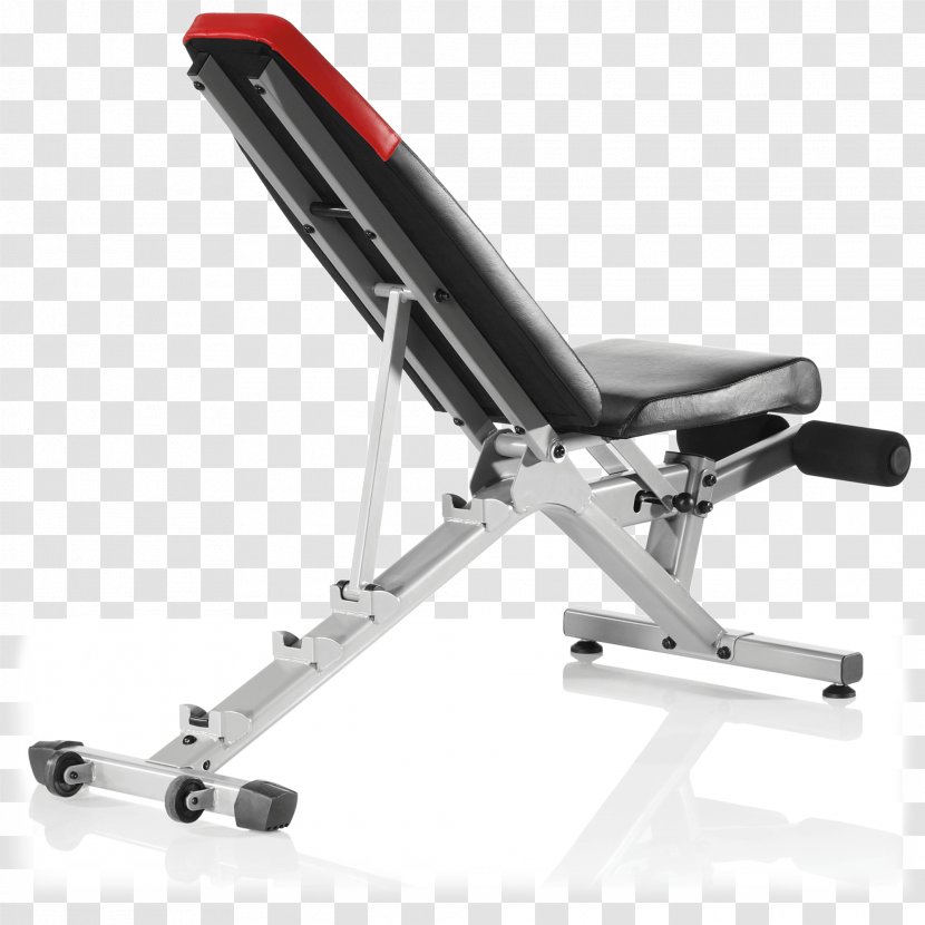 Bench Bowflex Exercise Machine Equipment Weight Training - Physical Fitness - BENCHES Transparent PNG