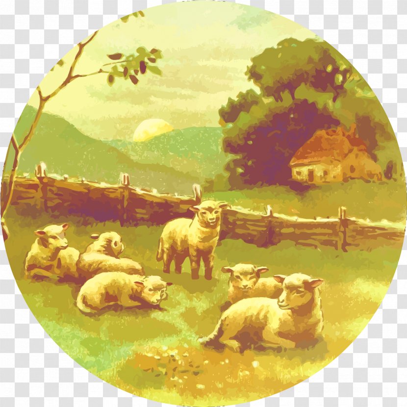 Sheep Clip Art - Tree - Lamb Transparent PNG