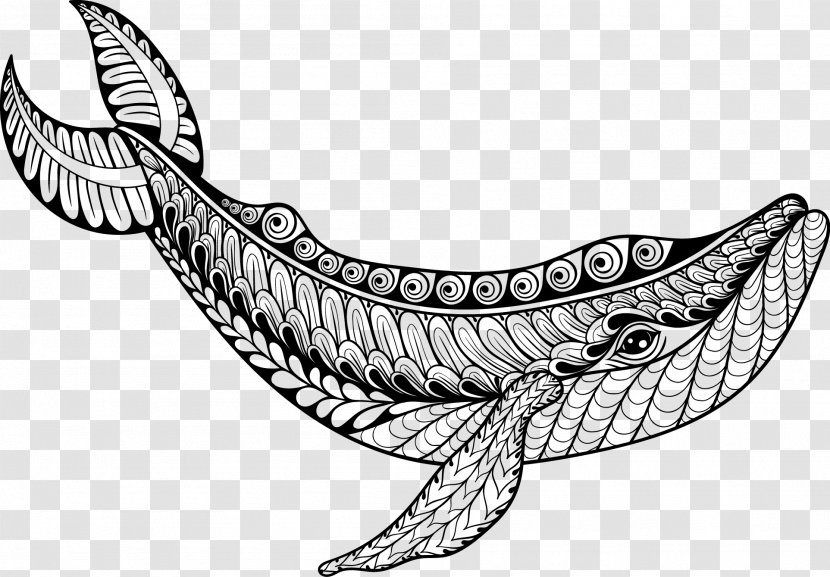 Whale Drawing Coloring Book Illustration - Fish - Hand-painted Pattern Transparent PNG