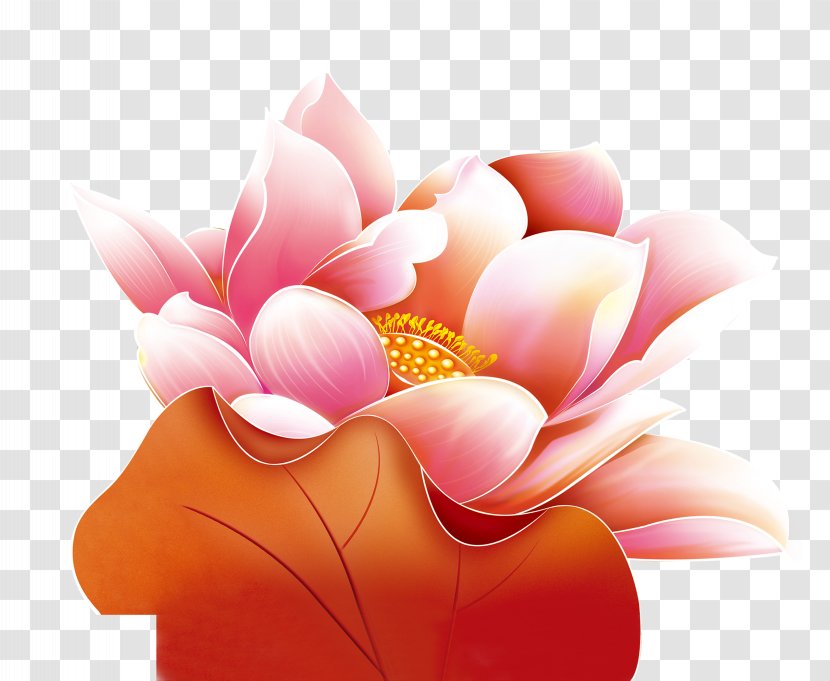 China Download - Chinese New Year - Lotus Transparent PNG
