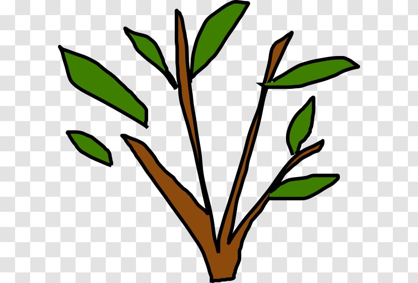 Clip Art Plant Stem Leaf Flower Line - Plants - Picea Graphic Transparent PNG