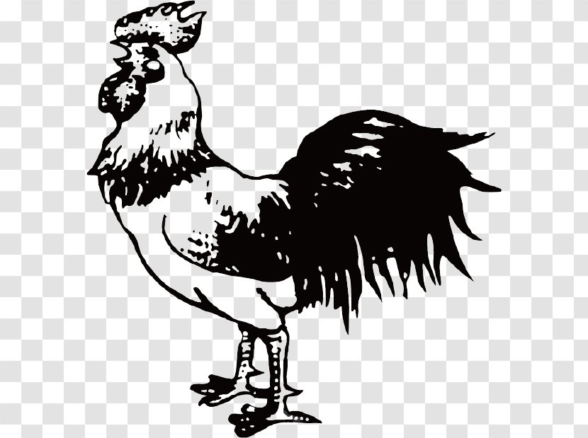 Chicken Rooster Cartoon Illustration Transparent PNG