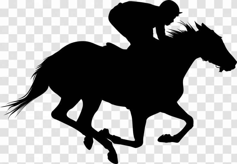 Thoroughbred The Kentucky Derby Horse Racing Equestrian Clip Art - English Riding - Bridle Transparent PNG