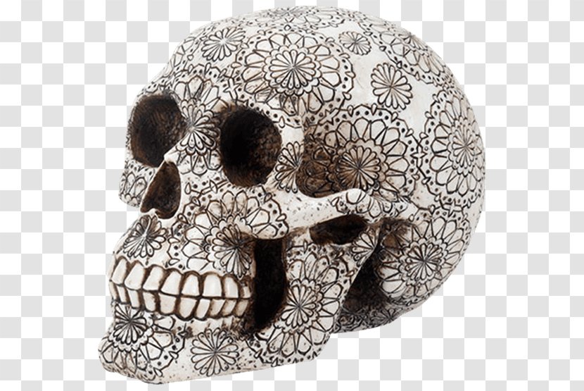 Skull Head Mouth Face Light Transparent PNG