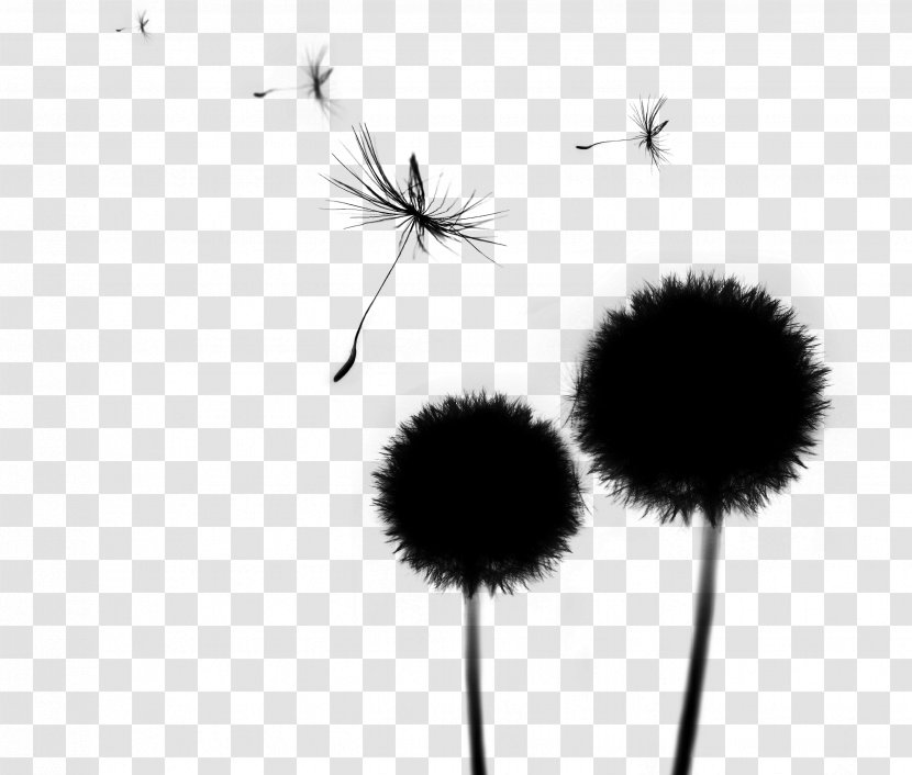 dandelion desktop wallpaper silhouette line black sky transparent png dandelion desktop wallpaper silhouette