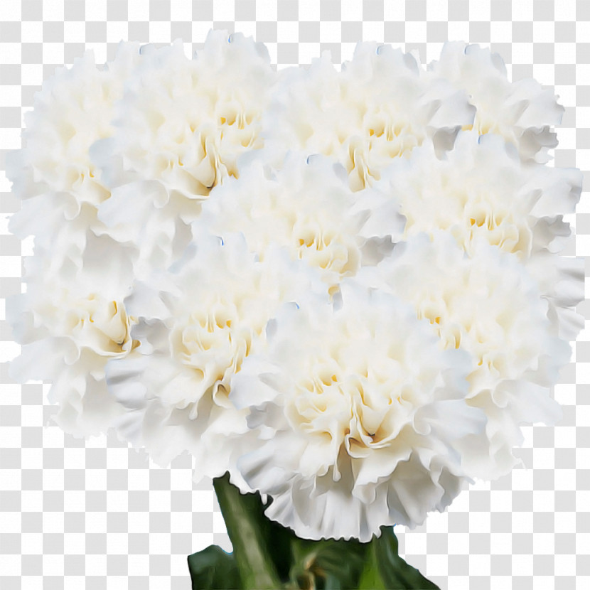 Floral Design Transparent PNG